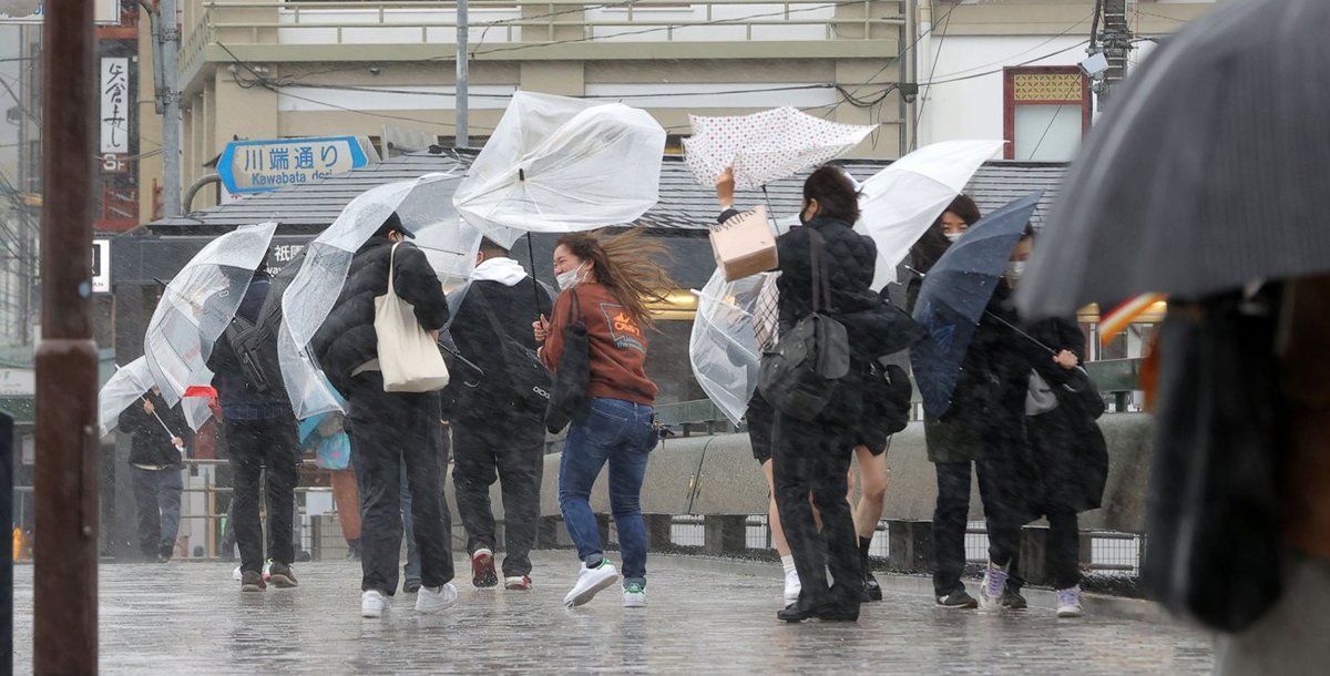 近畿で３年ぶり「春一番」、京都では傘壊す強風と雨