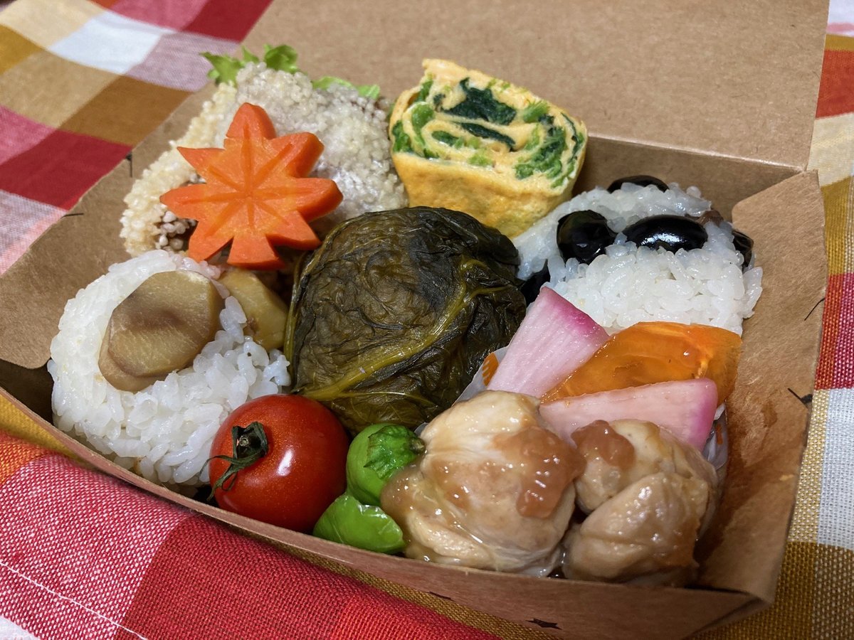 「お弁当で観光気分を」大学生が考案　近畿6府県の食材で彩り豊かに