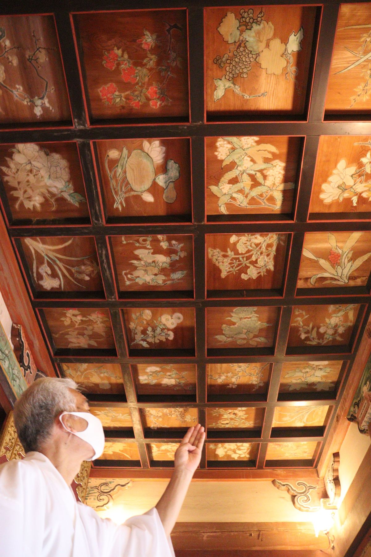心癒やす「花の天井」秋の特別拝観　京都・右京の平岡八幡宮