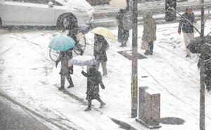 雪が降りしきる中、傘を差して歩く人たち（１４日午前８時３６分、京都市中京区烏丸通夷川）