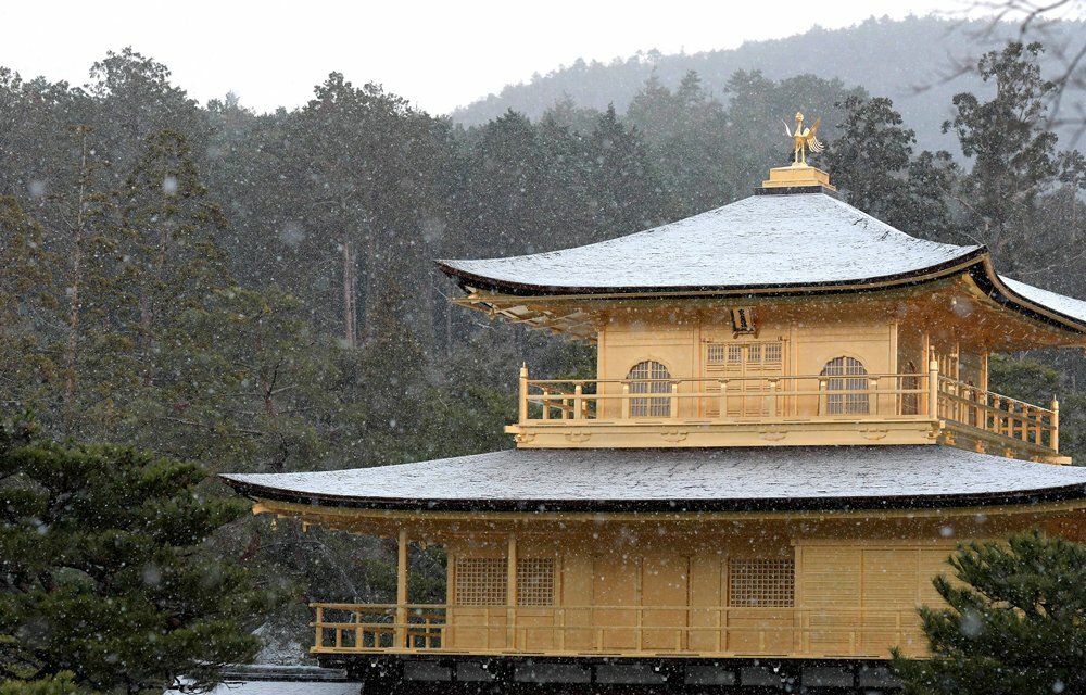 雪の金閣寺 この冬見られない 初雪未観測で冬日ゼロの京都 記録的暖冬に 社会 地域のニュース 京都新聞
