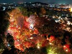 ライトアップされた境内を彩る紅葉（11月25日夜、京都市上京区・北野天満宮）＝小型無人機から