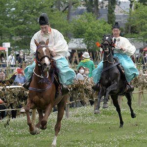 参拝者が見守る中、勢いよく駆け抜ける馬（１日、京都市北区・上賀茂神社）