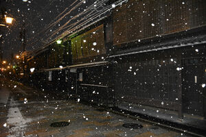 しんしんと雪がふる祇園新橋（21日午前6時半ごろ、京都市東山区）